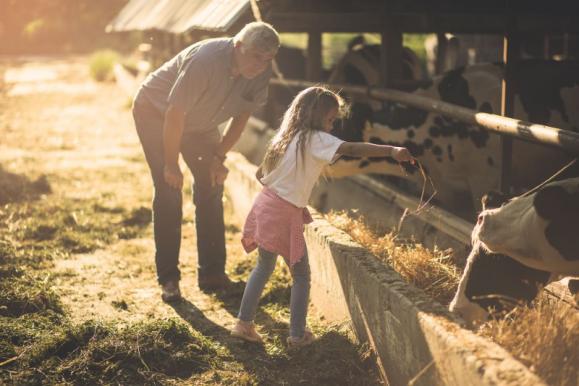 notaire droit rural